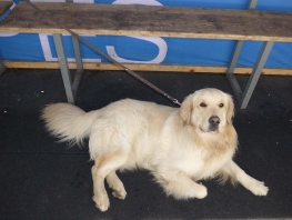 25 Improbable 3 044.jpg